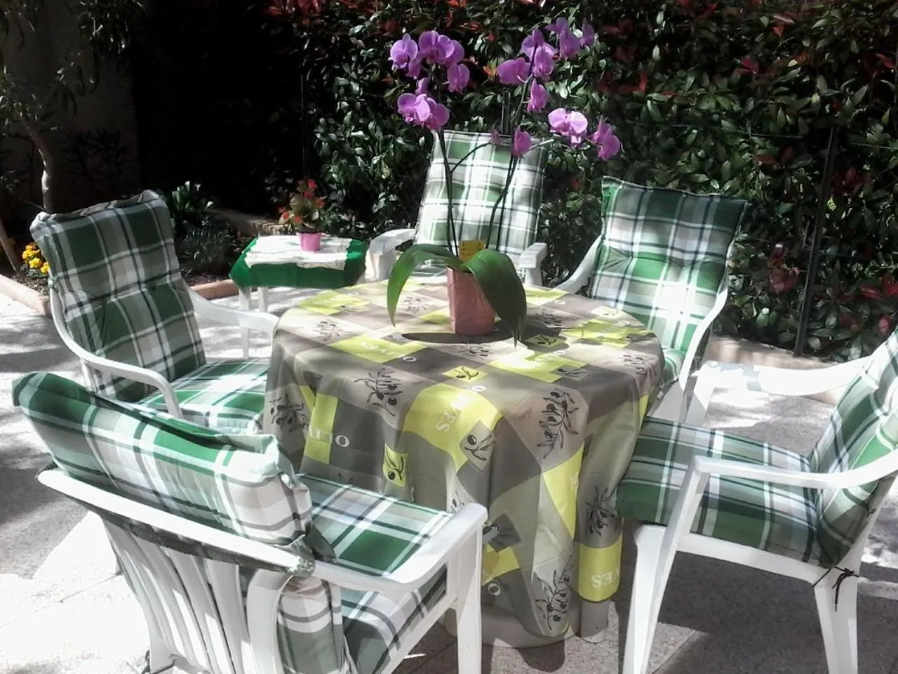 Apartament Studio Renove En Rez De Jardin Climatise Cannes Francja