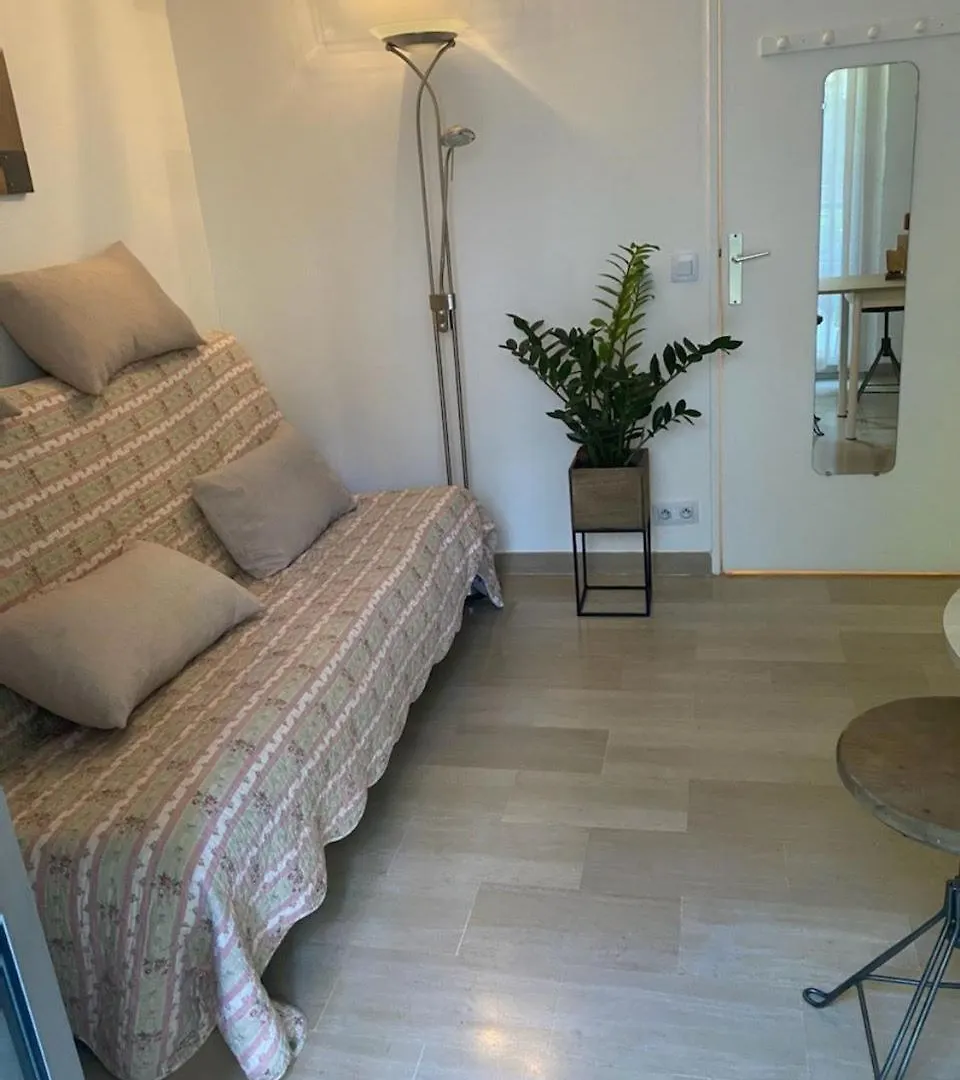 Studio Renove En Rez De Jardin Climatise Cannes Apartament