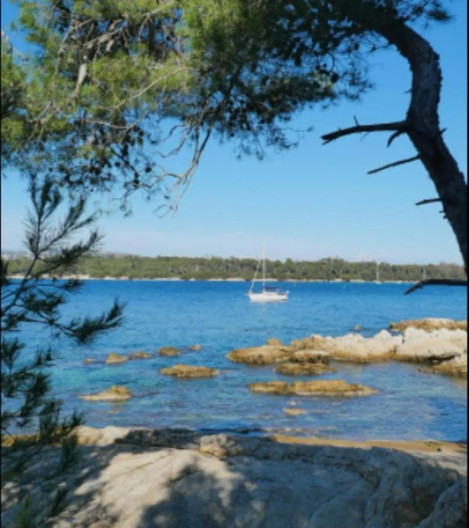 Apartament Studio Renove En Rez De Jardin Climatise Cannes Francja