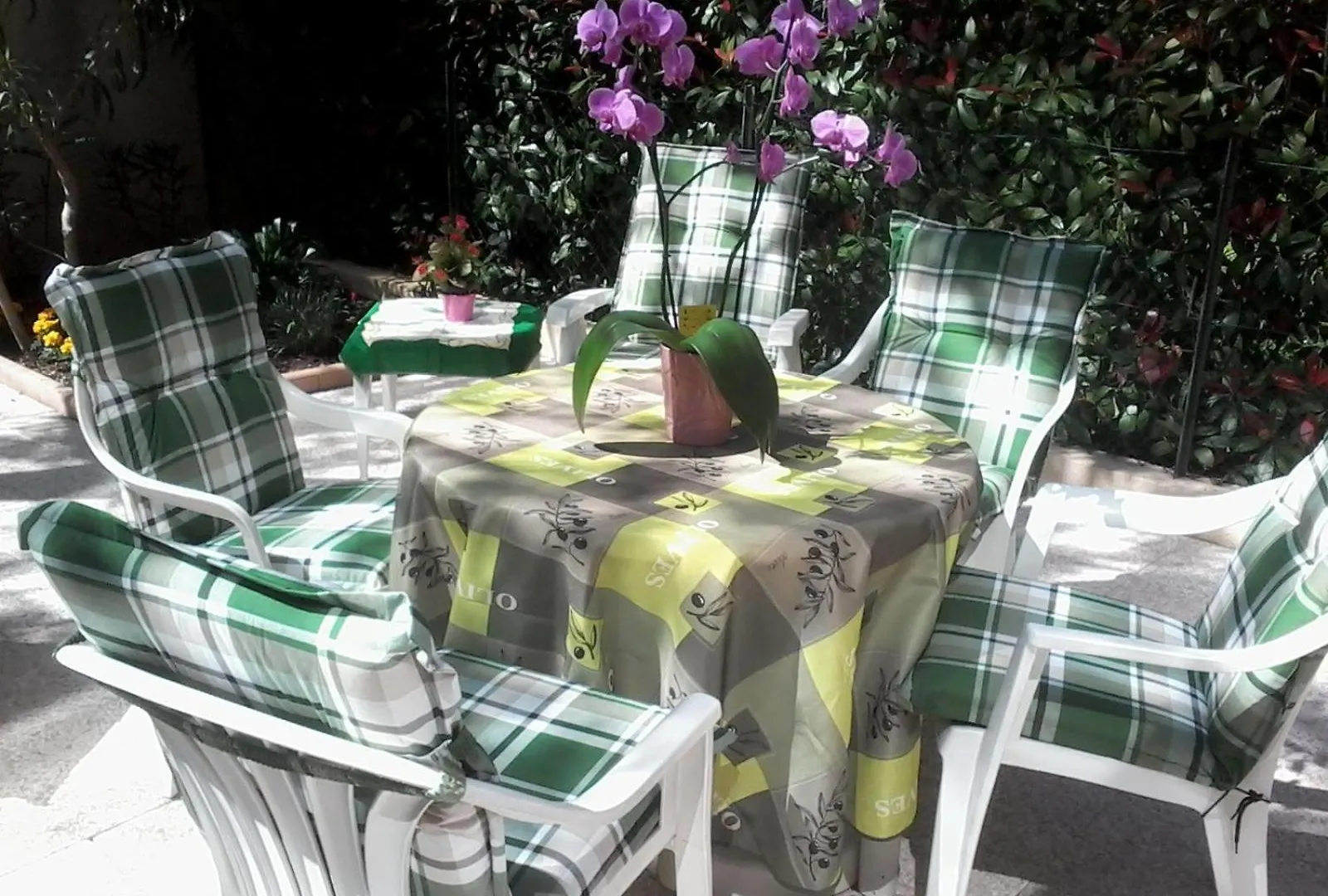Apartament Studio Renove En Rez De Jardin Climatise Cannes
