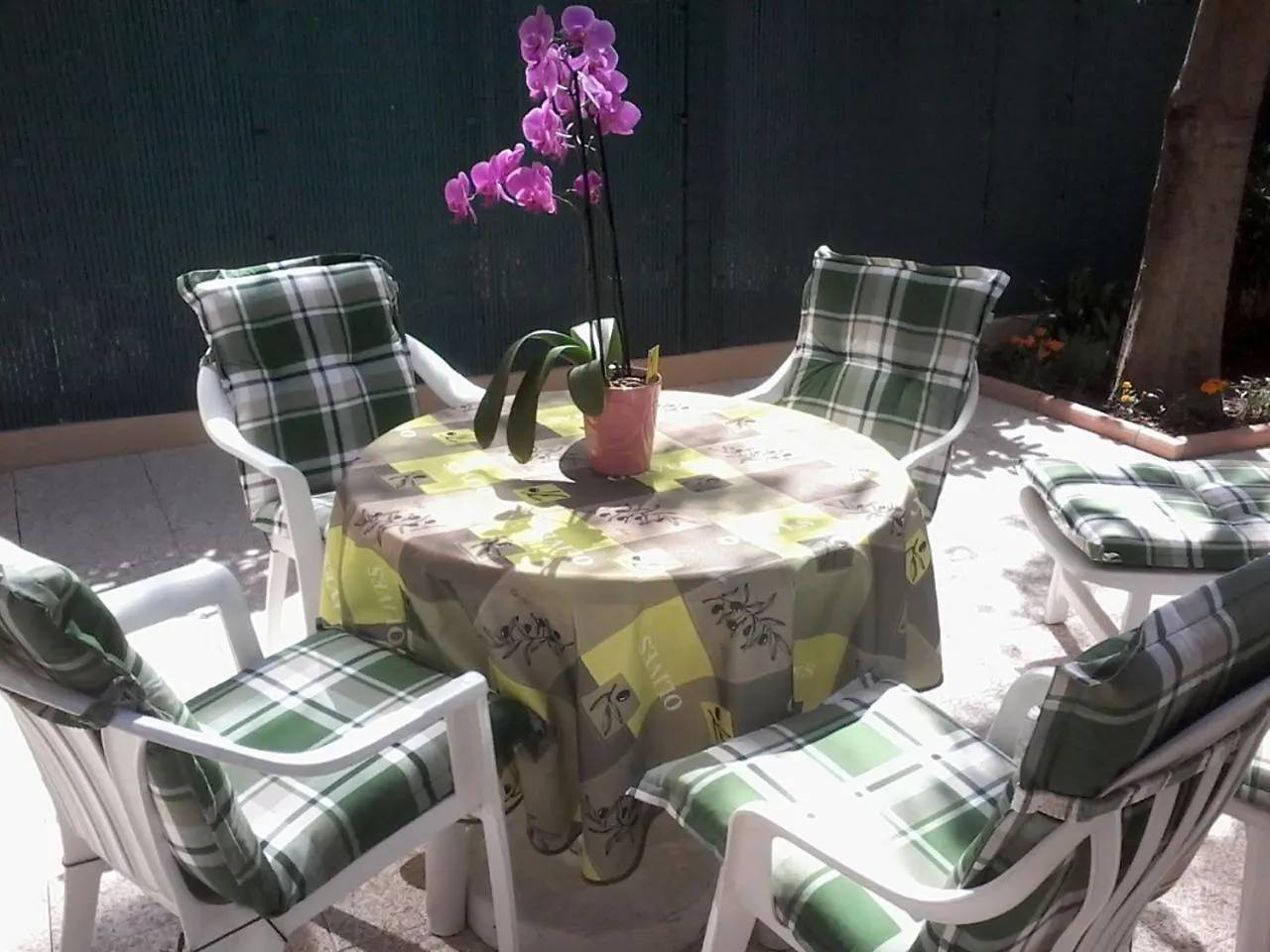 Studio Renove En Rez De Jardin Climatise Cannes 0*,